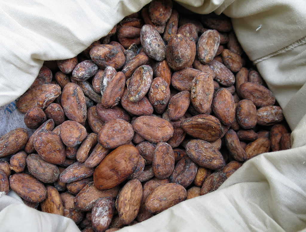 Cacao Flakes 100% - Guatemala (450g) THREE PACK BUNDLE CEREMONIAL GRADE